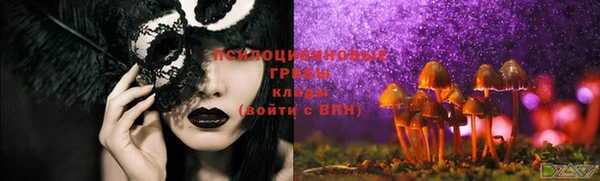 дмт Баксан