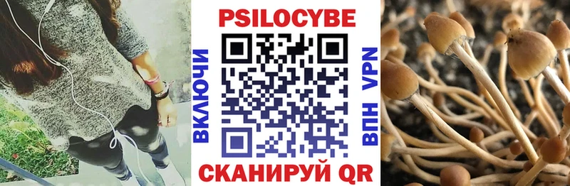 Псилоцибиновые грибы Psilocybine cubensis  цена наркотик  Нея 